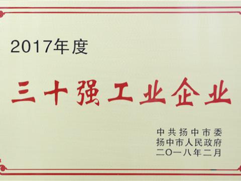 尊龙凯时集团提升2017年度扬中市“三十强”前五位